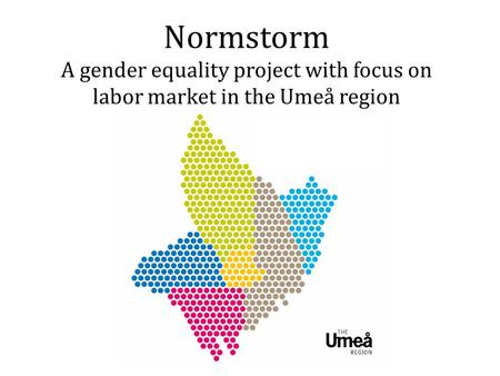 Normstorm A gender equality project with focus on labor market in the Umeå region.