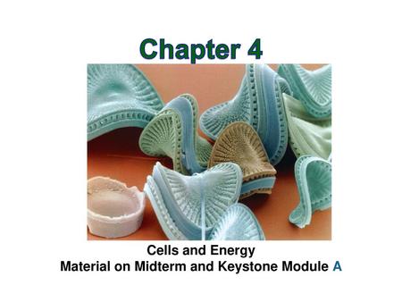 Material on Midterm and Keystone Module A