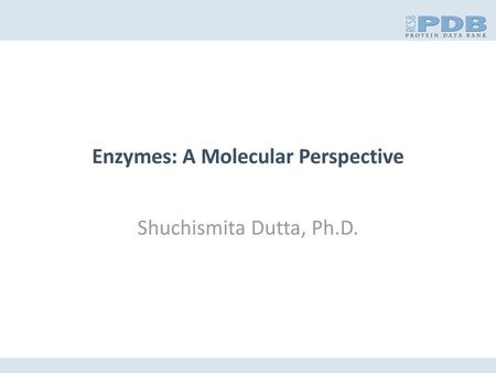 Enzymes: A Molecular Perspective