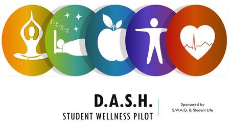 D.A.S.H. Student wellness Pilot