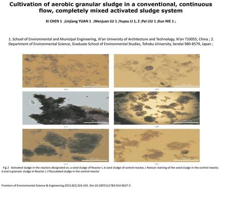 Cultivation of aerobic granular sludge in a conventional, continuous flow, completely mixed activated sludge system Xi CHEN 1 ;Linjiang YUAN 1 ;Wenjuan.