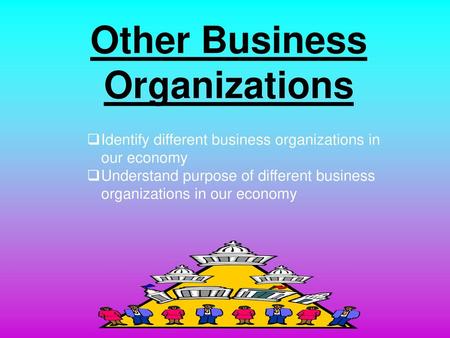 Other Business Organizations