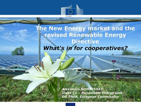 The New Energy market and the revised Renewable Energy Directive