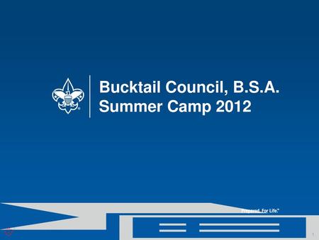 Bucktail Council, B.S.A. Summer Camp 2012