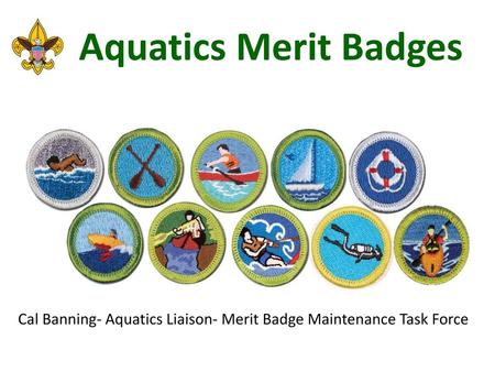 Cal Banning- Aquatics Liaison- Merit Badge Maintenance Task Force