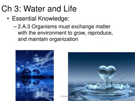 Ch 3: Water and Life Water and Life Essential Knowledge:
