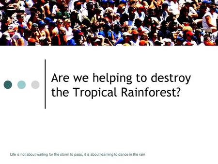 Are we helping to destroy the Tropical Rainforest?