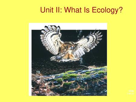 Unit II: What Is Ecology?