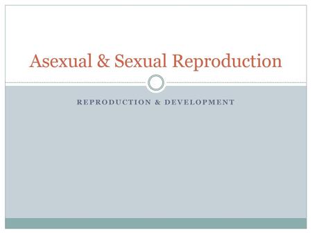 Asexual & Sexual Reproduction