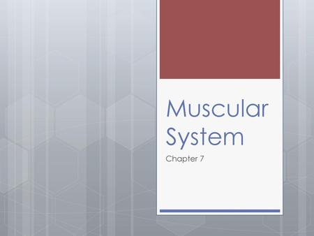 Muscular System Chapter 7.