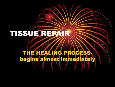 THE HEALING PROCESS- begins almost immediately
