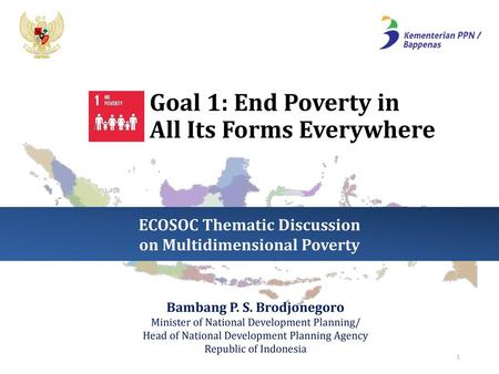 ECOSOC Thematic Discussion on Multidimensional Poverty