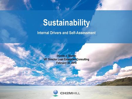Sustainability Internal Drivers and Self-Assessment Dennis J. Stamm