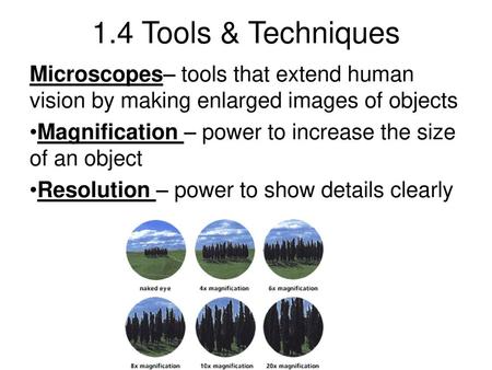 1.4 Tools & Techniques Microscopes– tools that extend human vision by making enlarged images of objects Magnification – power to increase the size of an.