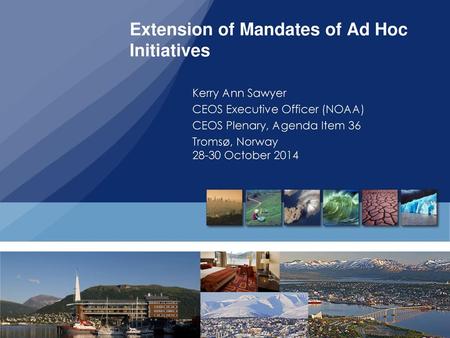 Extension of Mandates of Ad Hoc Initiatives