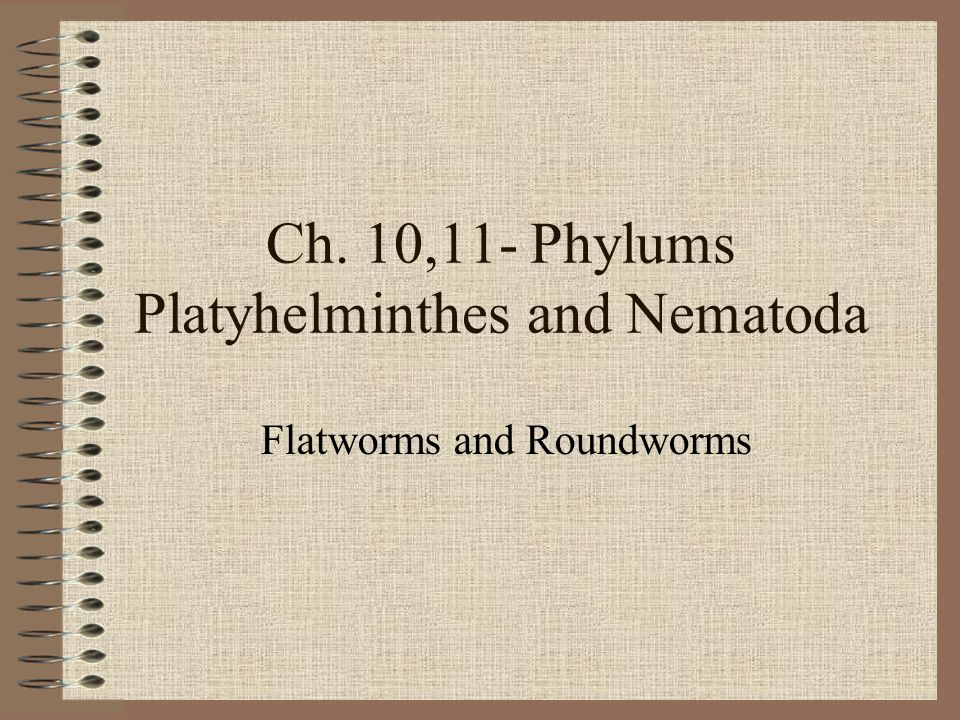 PPT - Ecdysozoa PowerPoint Presentation, free download - ID, Ppt platyhelminthes és nemathelminthes