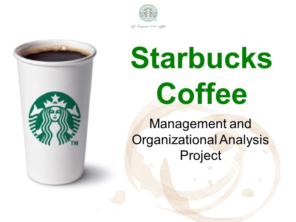 management information system used in starbucks