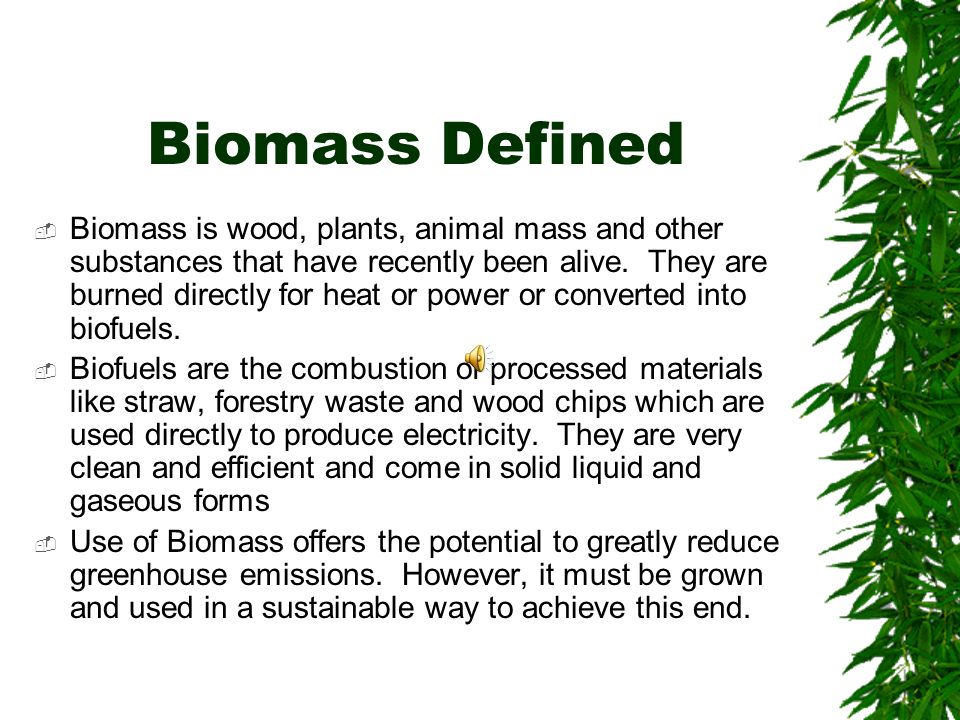 Biomass Defined  Biomass is wood, plants, animal mass and other substances  that have recently been alive. They are burned directly for heat or power  or. - ppt download