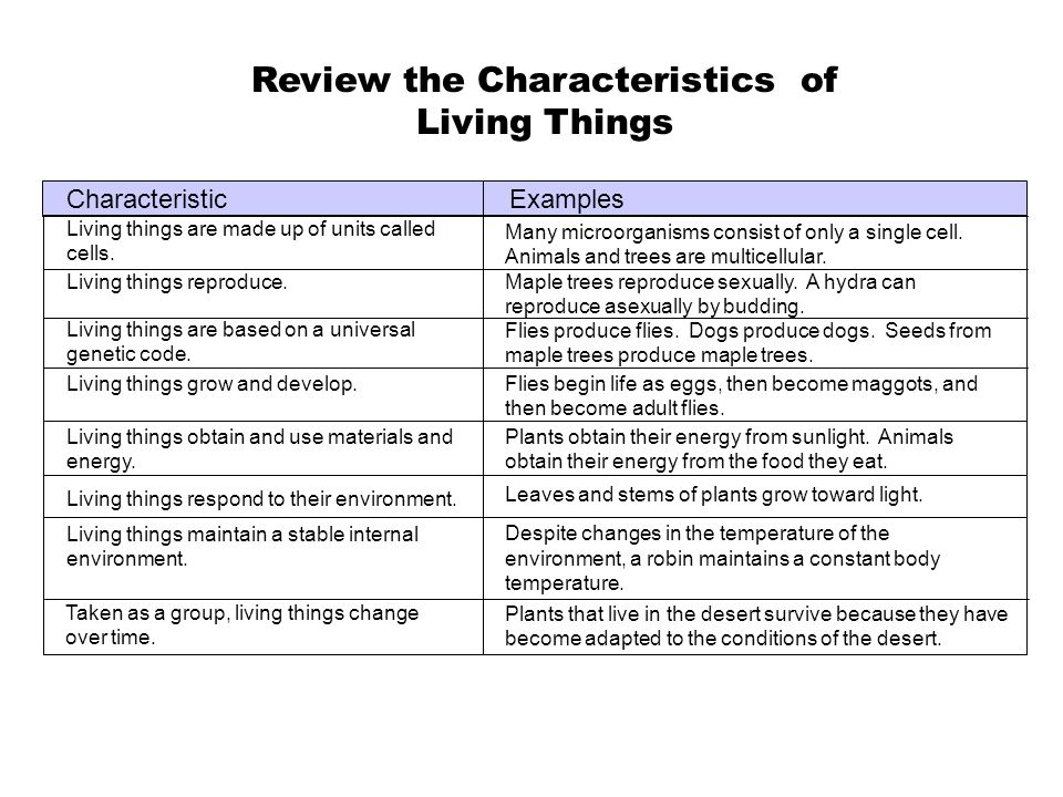 Review The Characteristics Of Living Things Ppt Video Online Download