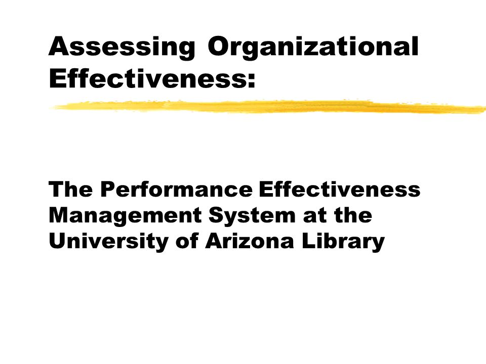 Assessing Organizational Effectiveness: The Performance