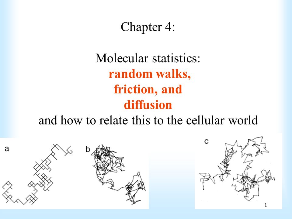 Chapter 4: Molecular statistics: random walks, and diffusion and how relate this to the cellular world. - ppt download