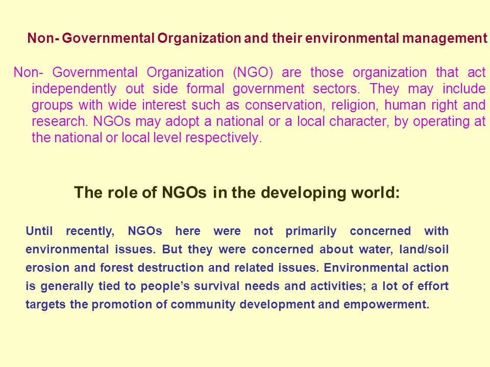 characteristics of governmental organizations
