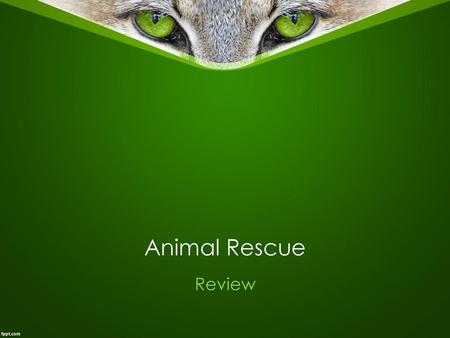 - Animal Rescue Review.