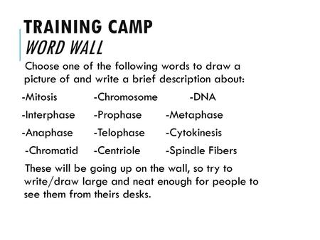 Training Camp Word Wall
