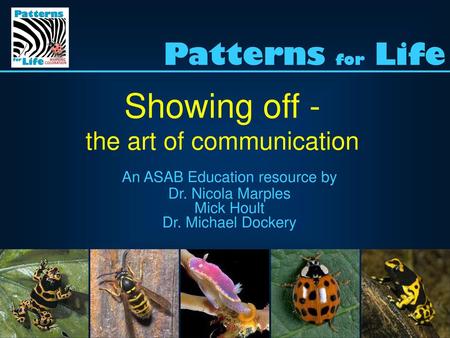 Showing off - Patterns for Life the art of communication