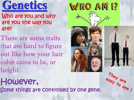 Genetics Who are you and why are you the way you are?