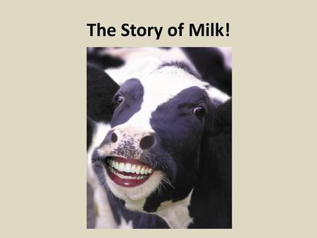 The Story of Milk!.