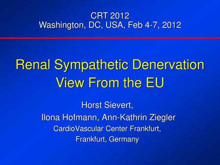Renal Sympathetic Denervation View From the EU