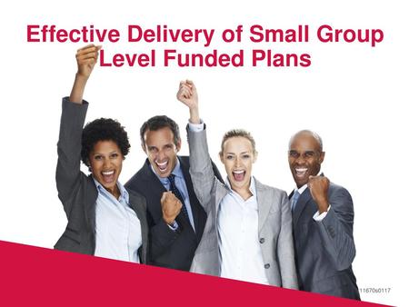 Effective Delivery of Small Group Level Funded Plans