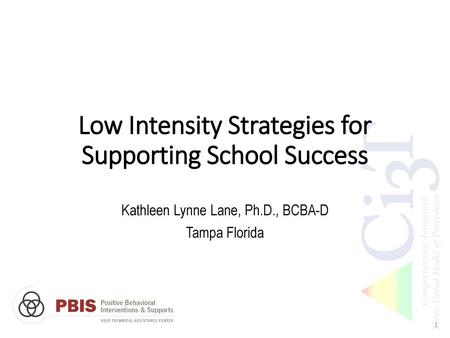 Low Intensity Strategies for Supporting School Success