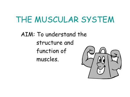 AIM: To understand the structure and function of muscles.