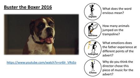 Buster the Boxer 2016 What does the word envious mean?