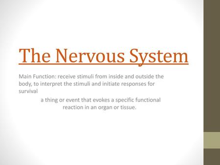 The Nervous System Main Function: receive stimuli from inside and outside the body, to interpret the stimuli and initiate responses for survival a thing.