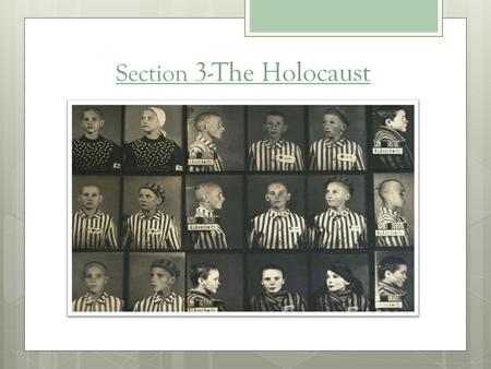 Section 3-The Holocaust