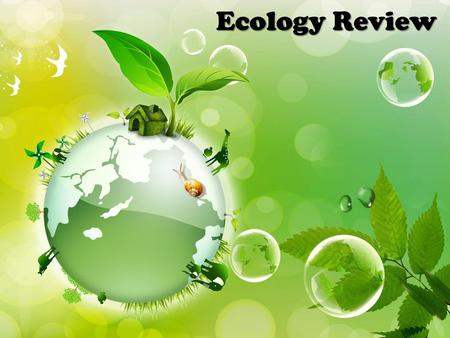 Ecology Review.