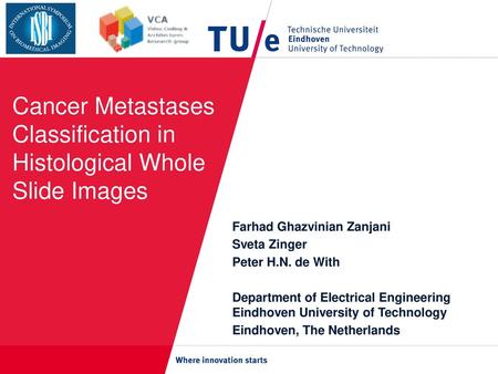 Cancer Metastases Classification in Histological Whole Slide Images