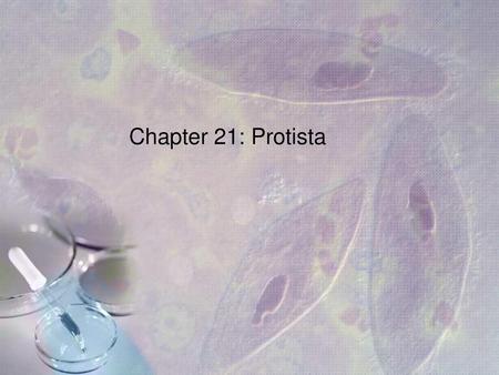 Chapter 21: Protista.