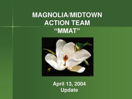 MAGNOLIA/MIDTOWN ACTION TEAM “MMAT”