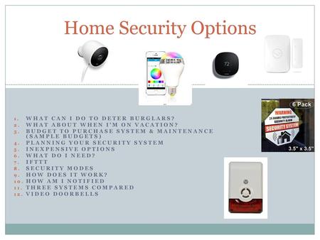 Home Security Options What can I do to deter Burglars?