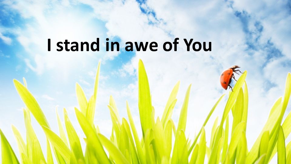 I Stand In Awe Of You Ppt Video Online Download