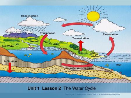 Unit 1 Lesson 2 The Water Cycle