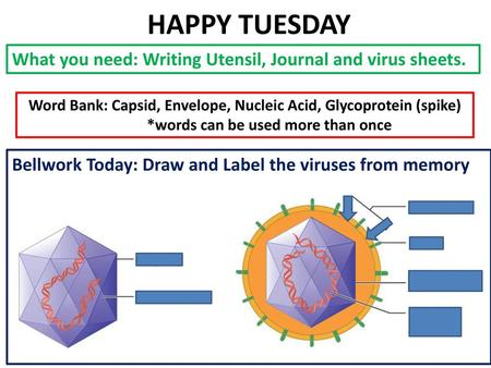 HAPPY TUESDAY What you need: Writing Utensil, Journal and virus sheets. Word Bank: Capsid, Envelope, Nucleic Acid, Glycoprotein (spike) *words can be used.
