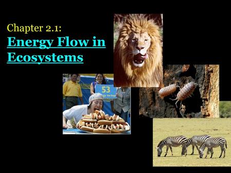 Chapter 2.1: Energy Flow in Ecosystems