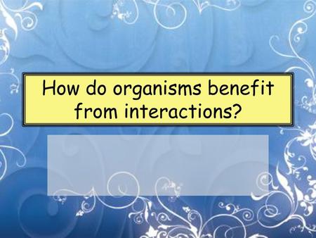 How do organisms benefit from interactions?