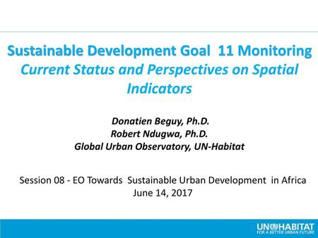 Sustainable Development Goal 11 Monitoring