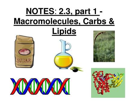 NOTES: 2.3, part 1 - Macromolecules, Carbs & Lipids